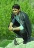 sayed007 121460 | Afghan male, 36, Single