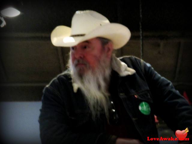Jojo677 American Man from Springfield