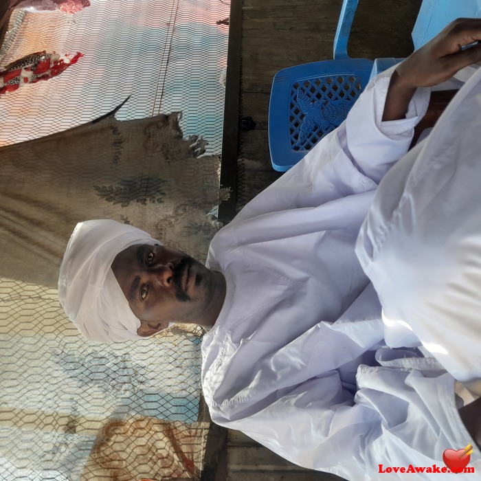 saifd84 Algerian Man from Alger (Algiers)