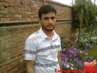 msajid515 Pakistani Man from Lahore