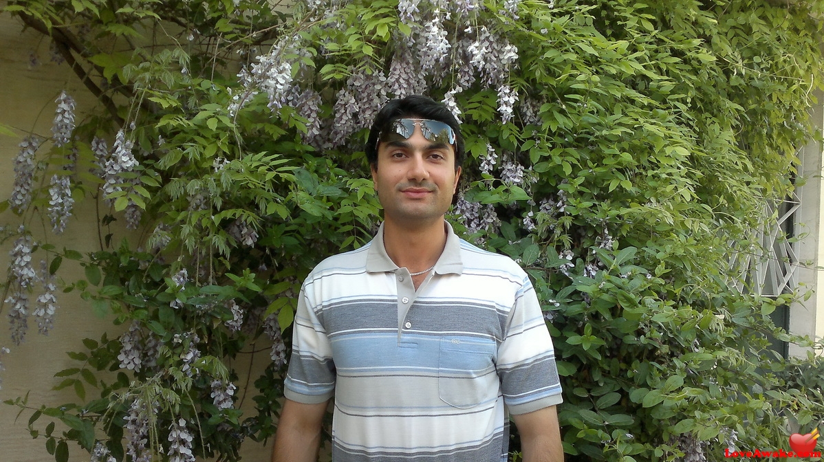 shahin6137 Iranian Man from Tehran