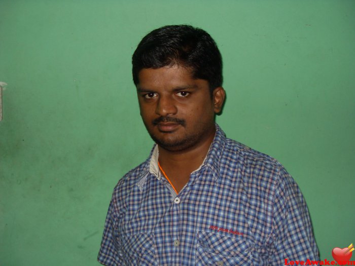 harish305 Indian Man from Chennai (ex Madras)