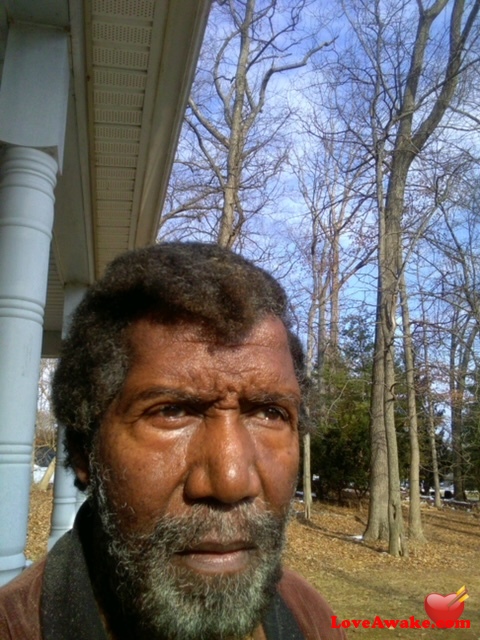 Simbalionking American Man from Reisterstown