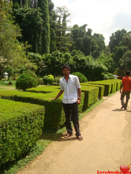 taruu Sri Lankan Man from Colombo