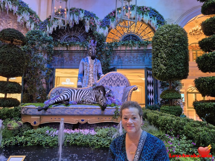 Gabri1970 American Woman from Aventura