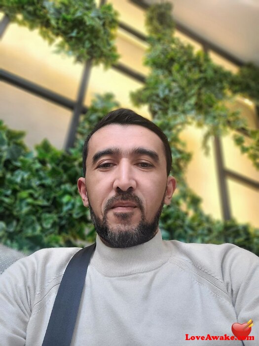 hamid464 American Man from New York