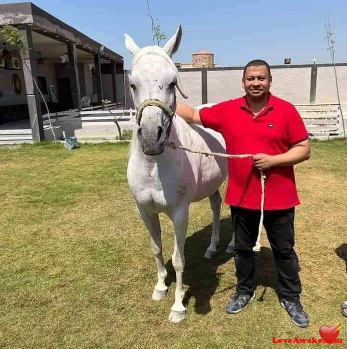 Mohammedvet Egyptian Man from Alexandria