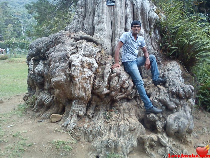 haseemr Sri Lankan Man from Colombo