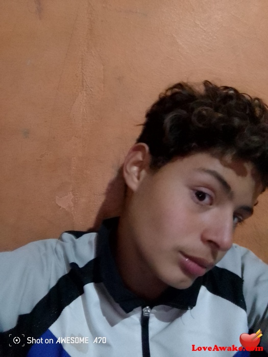 Dhgfjwgsvnqc544 Algerian Man from Alger (Algiers)