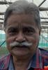 drkulwant 2654274 | Indian male, 66, Married