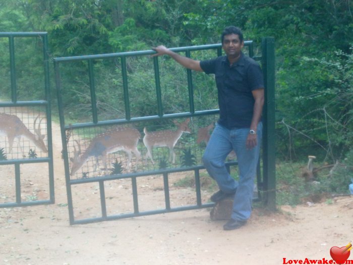 Devp Sri Lankan Man from Colombo