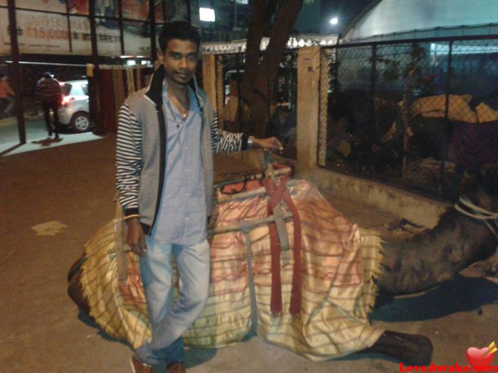vivshah75 Indian Man from Bhopal