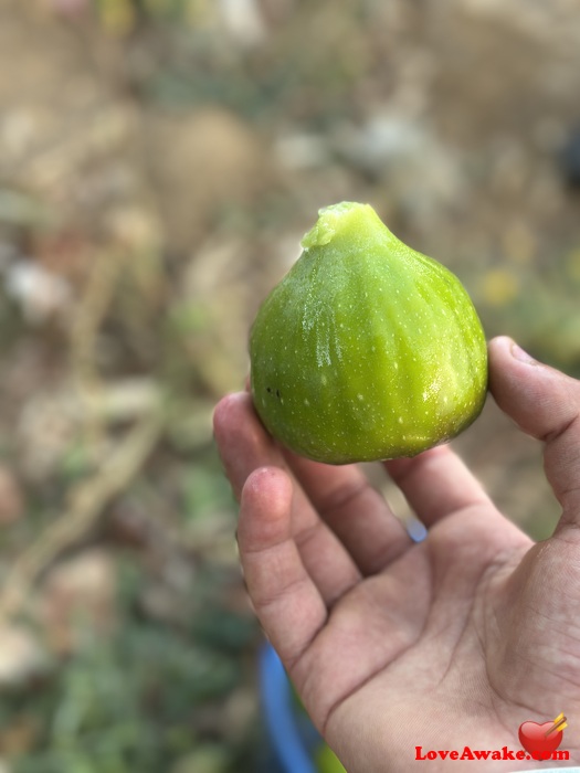 Soufian44 Morocco Man from Tetouan