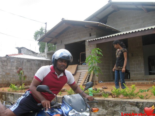 dilush223 Sri Lankan Man from Kalutara