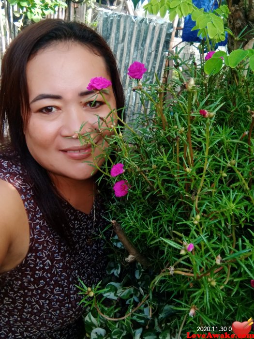 Tess143 Filipina Woman from Iloilo, Panay