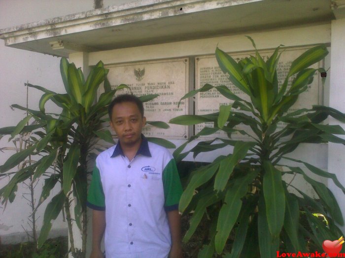 alfan1981 Indonesian Man from Surabaya